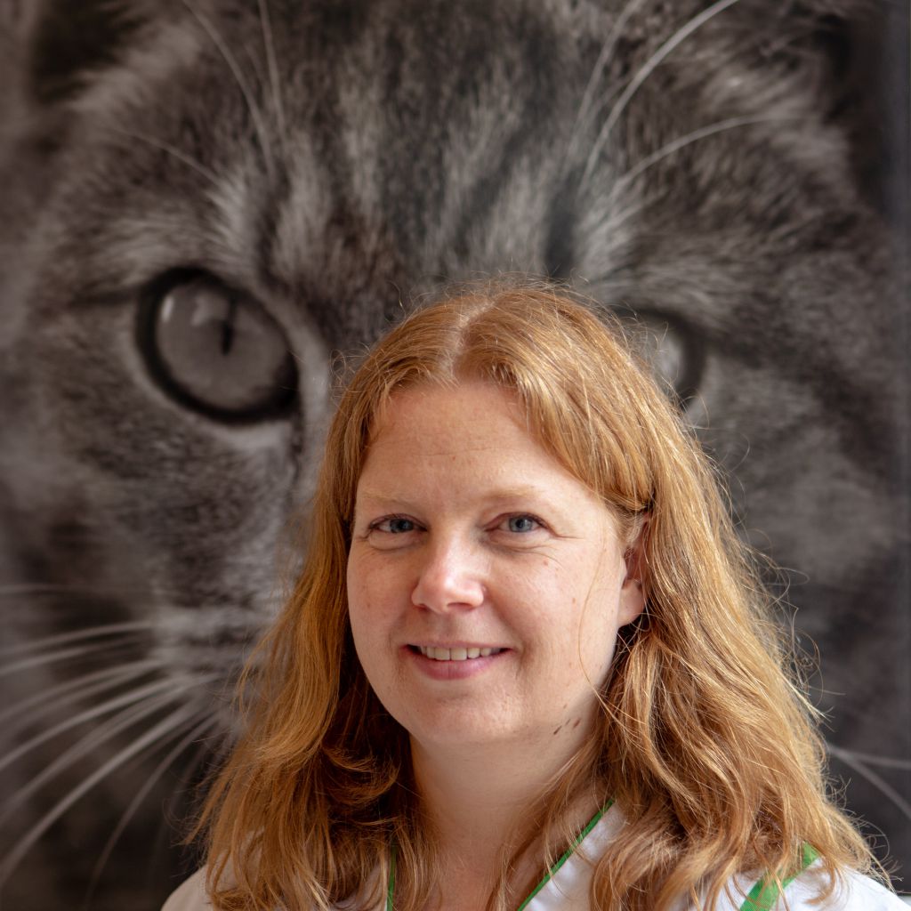Anneke Verweij Acupuncturist